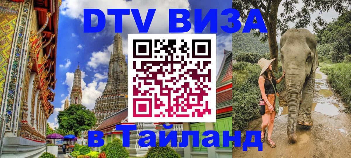 Сколько стоит DTV виза — актуальные цены, оформление даже без документов - 19.11.2025 